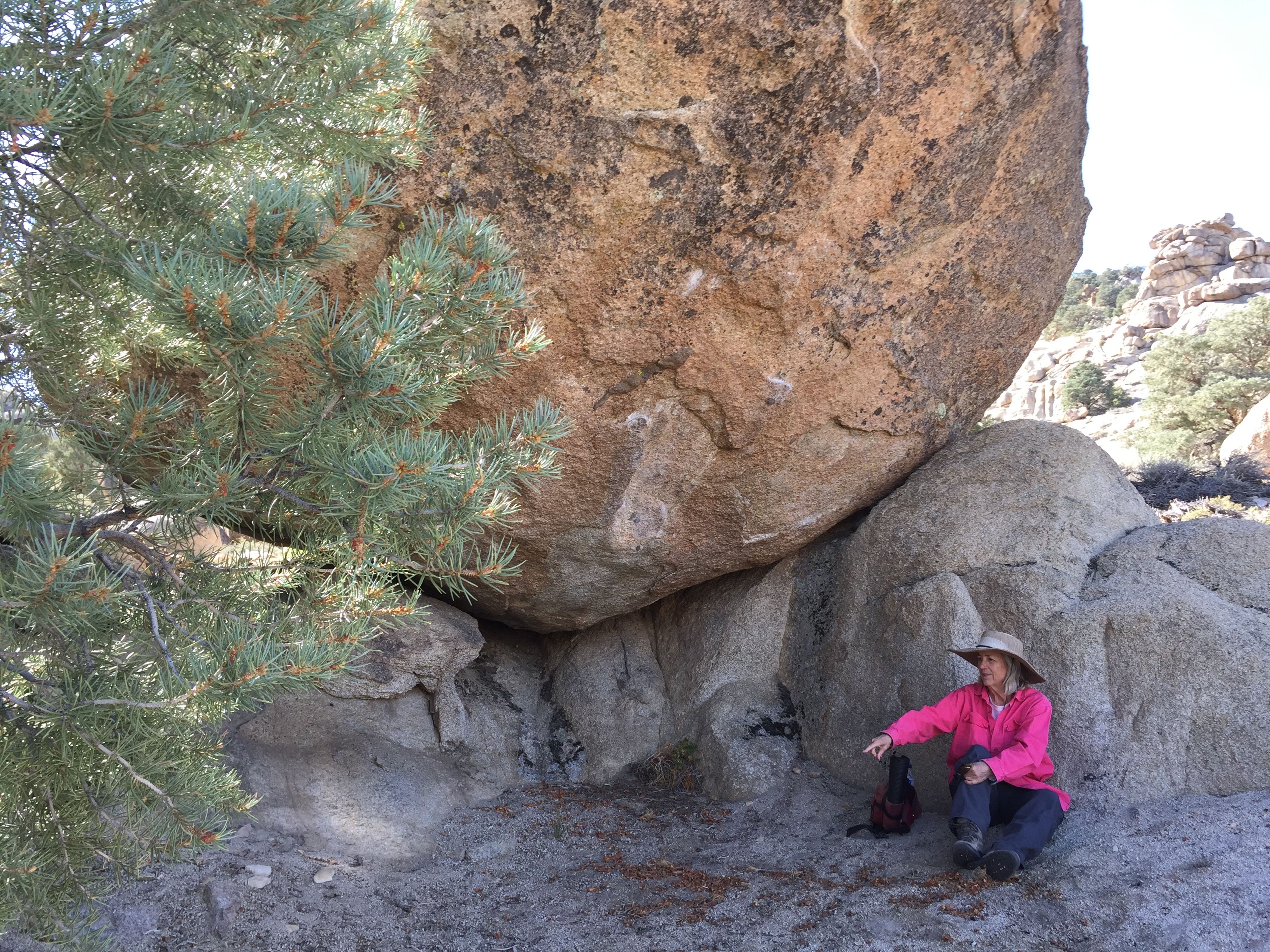 This could be the place where Shadow was born.